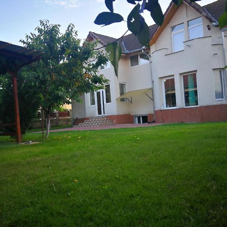 Vila Roy Hotel Turda Bagian luar foto